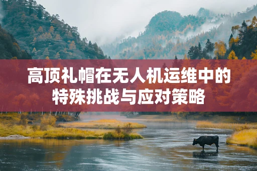 高顶礼帽在无人机运维中的特殊挑战与应对策略