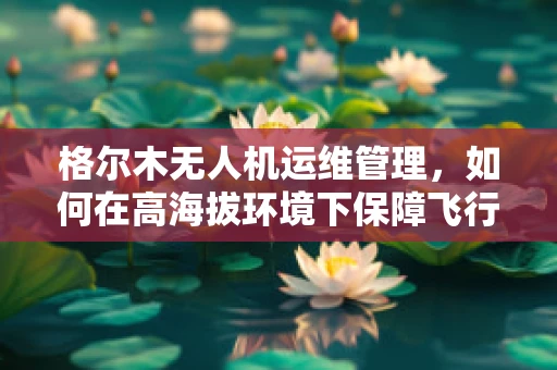 格尔木无人机运维管理，如何在高海拔环境下保障飞行安全？