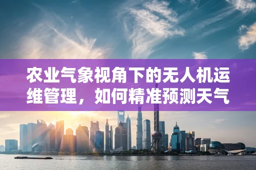 农业气象视角下的无人机运维管理，如何精准预测天气以优化作物监测效率？