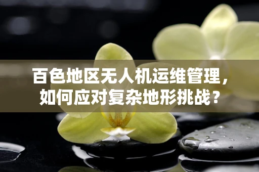 百色地区无人机运维管理，如何应对复杂地形挑战？