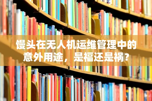 馒头在无人机运维管理中的意外用途，是福还是祸？
