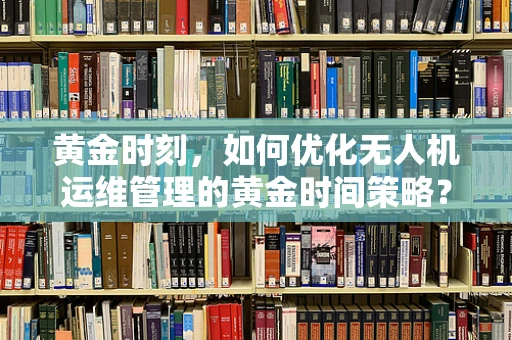 黄金时刻，如何优化无人机运维管理的黄金时间策略？