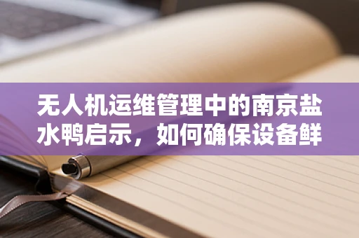 无人机运维管理中的南京盐水鸭启示，如何确保设备鲜美不变质？