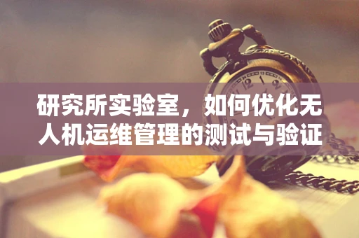 研究所实验室，如何优化无人机运维管理的测试与验证流程？
