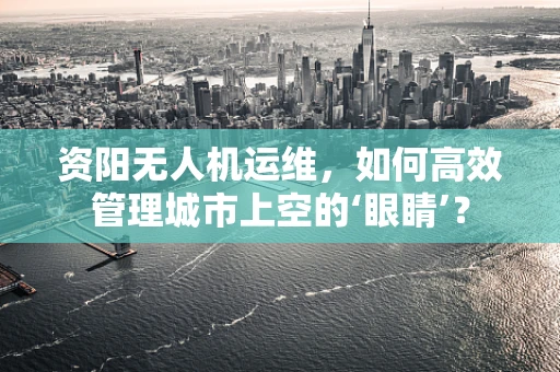 资阳无人机运维，如何高效管理城市上空的‘眼睛’？