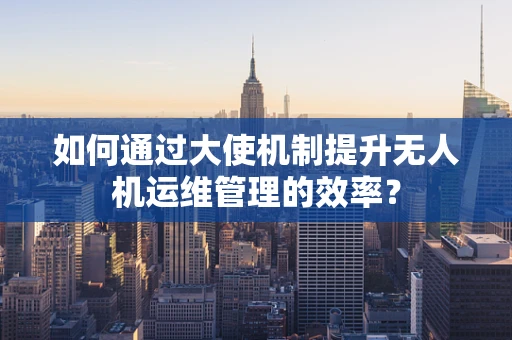 如何通过大使机制提升无人机运维管理的效率？