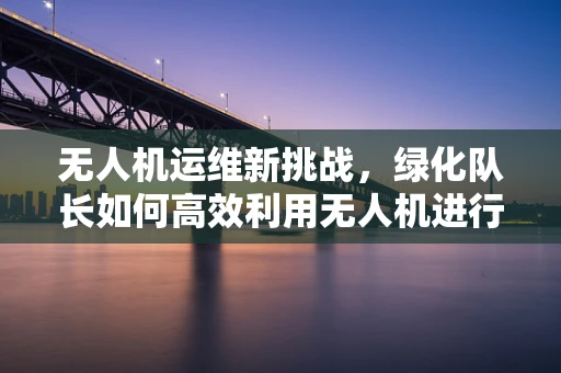 无人机运维新挑战，绿化队长如何高效利用无人机进行精准管理？