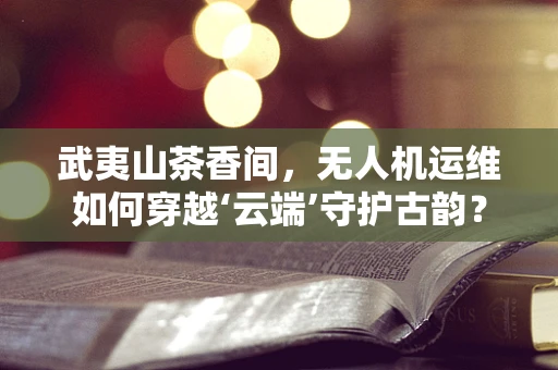 武夷山茶香间，无人机运维如何穿越‘云端’守护古韵？