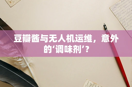 豆瓣酱与无人机运维，意外的‘调味剂’？