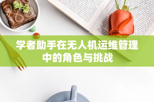 学者助手在无人机运维管理中的角色与挑战
