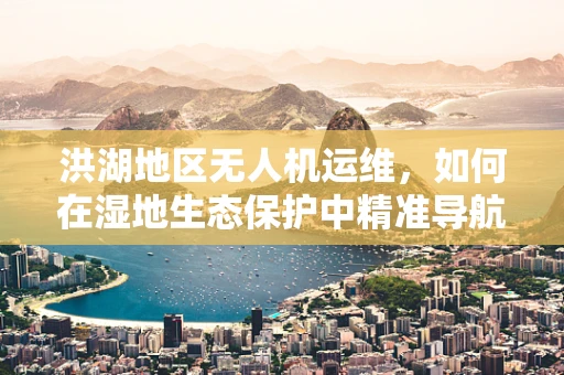 洪湖地区无人机运维，如何在湿地生态保护中精准导航？