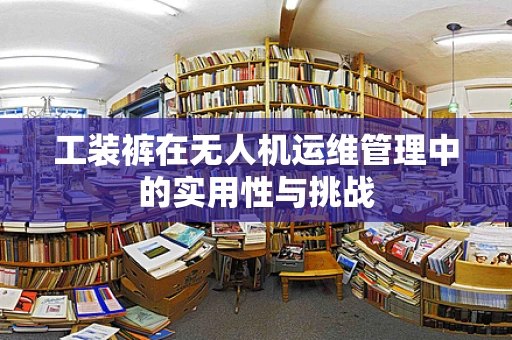 工装裤在无人机运维管理中的实用性与挑战