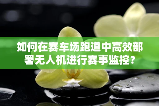 如何在赛车场跑道中高效部署无人机进行赛事监控？