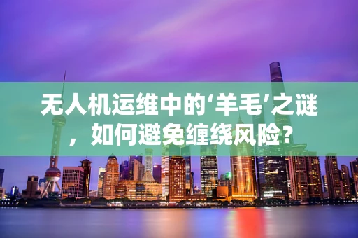 无人机运维中的‘羊毛’之谜，如何避免缠绕风险？