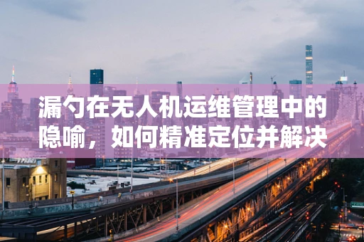 漏勺在无人机运维管理中的隐喻，如何精准定位并解决‘信息泄露’问题？