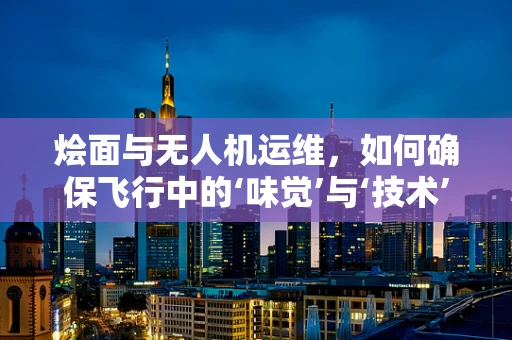 烩面与无人机运维，如何确保飞行中的‘味觉’与‘技术’双赢？
