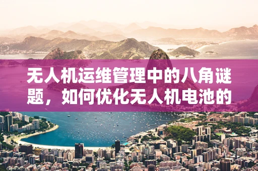 无人机运维管理中的八角谜题，如何优化无人机电池的充电与维护？