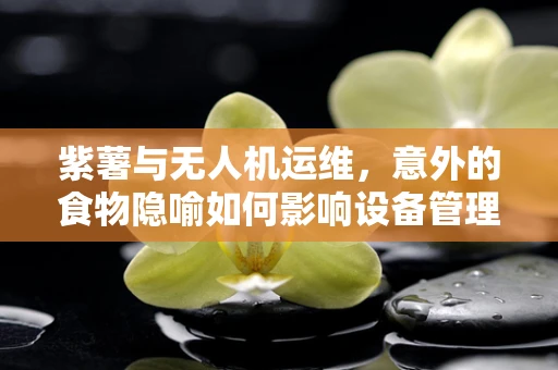 紫薯与无人机运维，意外的食物隐喻如何影响设备管理？