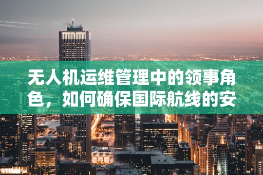 无人机运维管理中的领事角色，如何确保国际航线的安全合规？