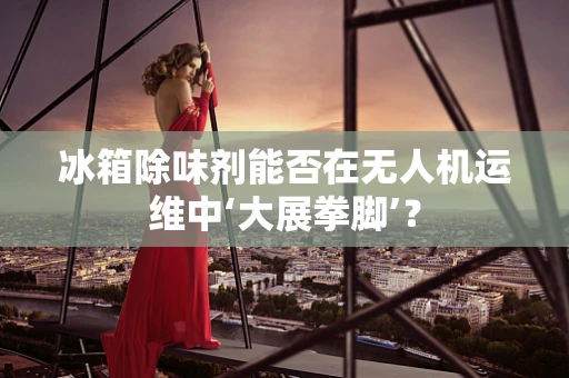 冰箱除味剂能否在无人机运维中‘大展拳脚’？
