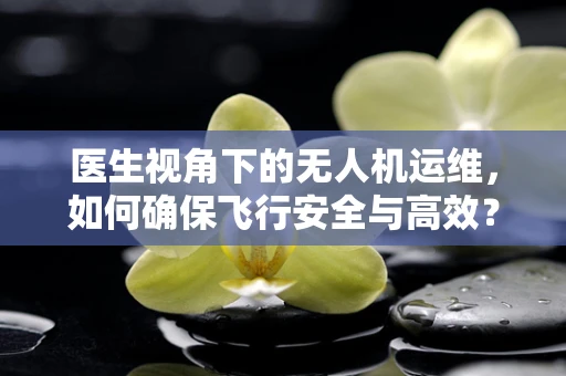 医生视角下的无人机运维，如何确保飞行安全与高效？