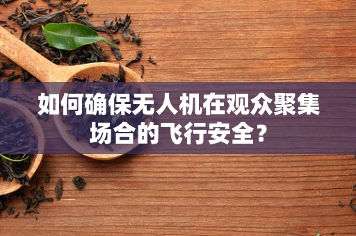 如何确保无人机在观众聚集场合的飞行安全？