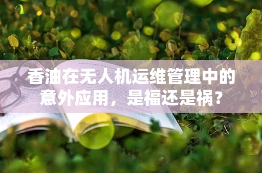 香油在无人机运维管理中的意外应用，是福还是祸？
