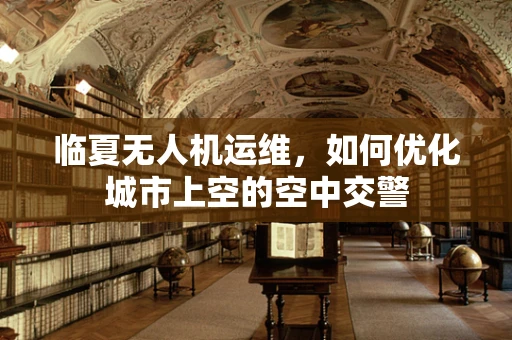 临夏无人机运维，如何优化城市上空的空中交警