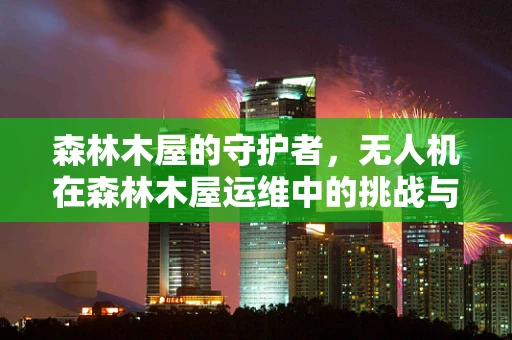森林木屋的守护者，无人机在森林木屋运维中的挑战与对策
