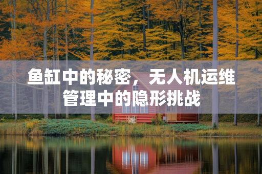 鱼缸中的秘密，无人机运维管理中的隐形挑战