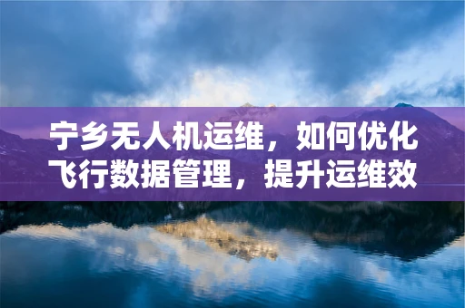 宁乡无人机运维，如何优化飞行数据管理，提升运维效率？
