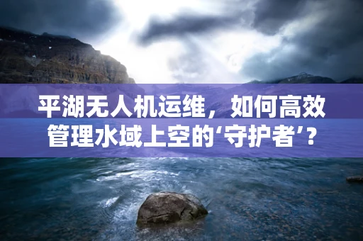 平湖无人机运维，如何高效管理水域上空的‘守护者’？