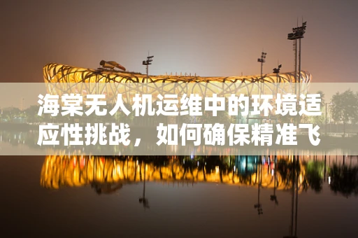 海棠无人机运维中的环境适应性挑战，如何确保精准飞行？