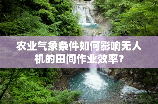 农业气象条件如何影响无人机的田间作业效率？