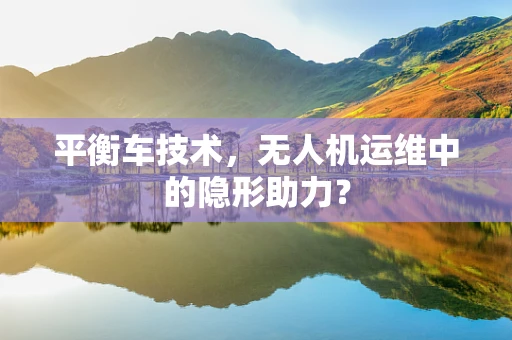 平衡车技术，无人机运维中的隐形助力？