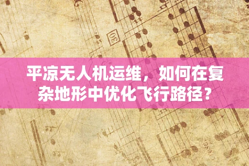 平凉无人机运维，如何在复杂地形中优化飞行路径？