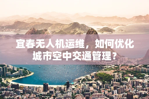 宜春无人机运维，如何优化城市空中交通管理？