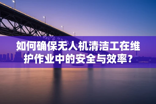 如何确保无人机清洁工在维护作业中的安全与效率？