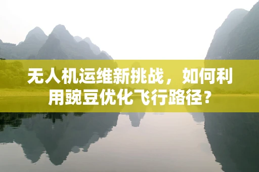 无人机运维新挑战，如何利用豌豆优化飞行路径？