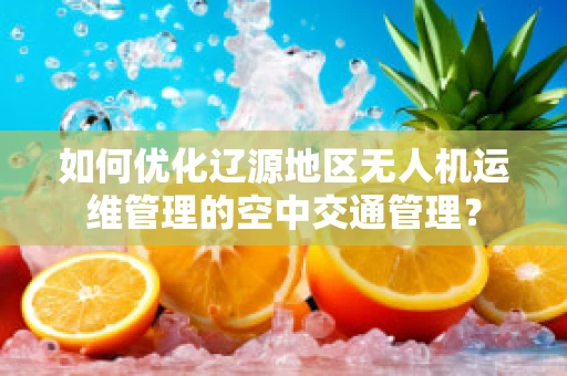 如何优化辽源地区无人机运维管理的空中交通管理？