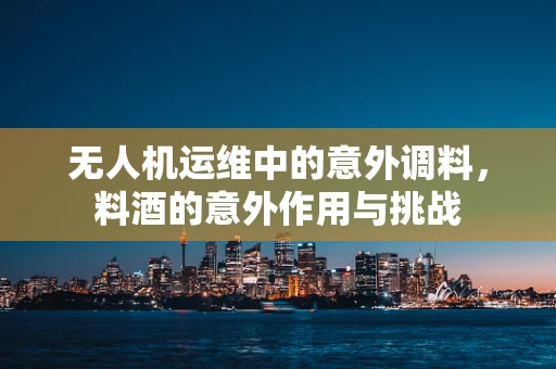 无人机运维中的意外调料，料酒的意外作用与挑战