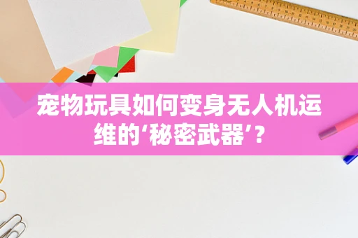 宠物玩具如何变身无人机运维的‘秘密武器’？