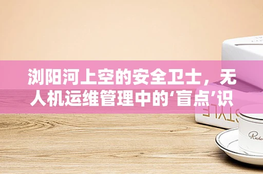 浏阳河上空的安全卫士，无人机运维管理中的‘盲点’识别与应对