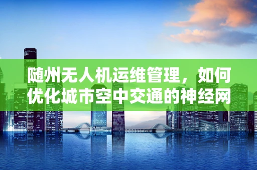 随州无人机运维管理，如何优化城市空中交通的神经网络？