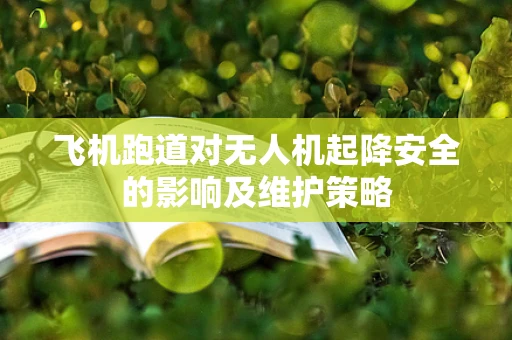飞机跑道对无人机起降安全的影响及维护策略