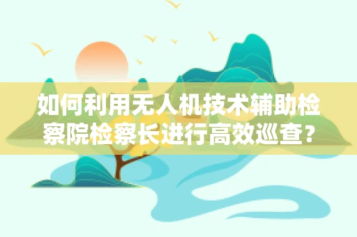 如何利用无人机技术辅助检察院检察长进行高效巡查？