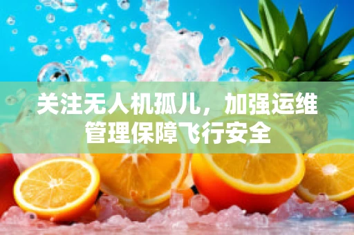 关注无人机孤儿，加强运维管理保障飞行安全