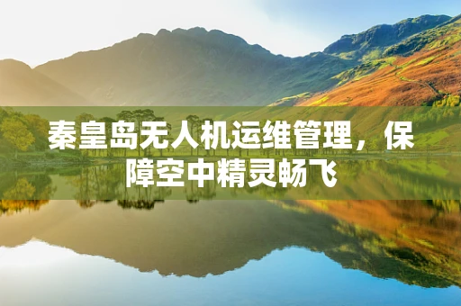 秦皇岛无人机运维管理，保障空中精灵畅飞