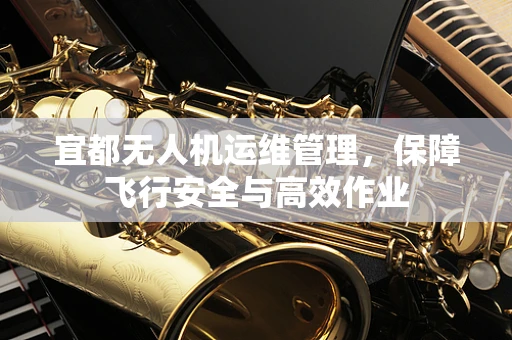 宜都无人机运维管理，保障飞行安全与高效作业