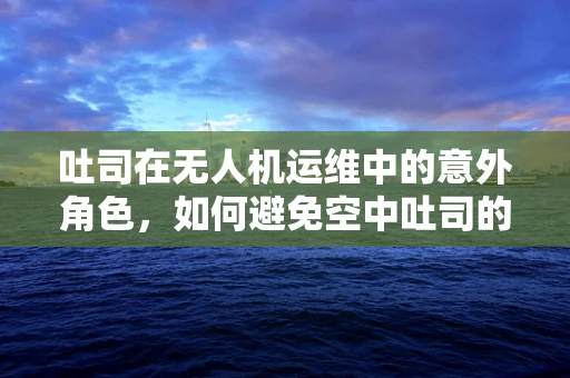 吐司在无人机运维中的意外角色，如何避免空中吐司的尴尬？